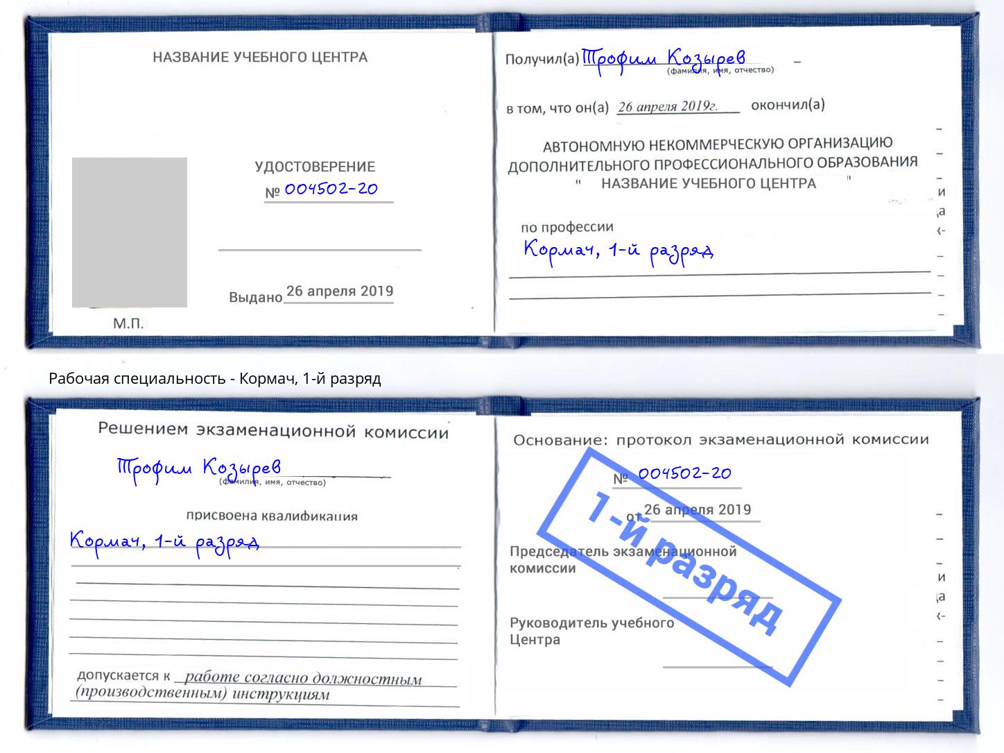 корочка 1-й разряд Кормач Белебей