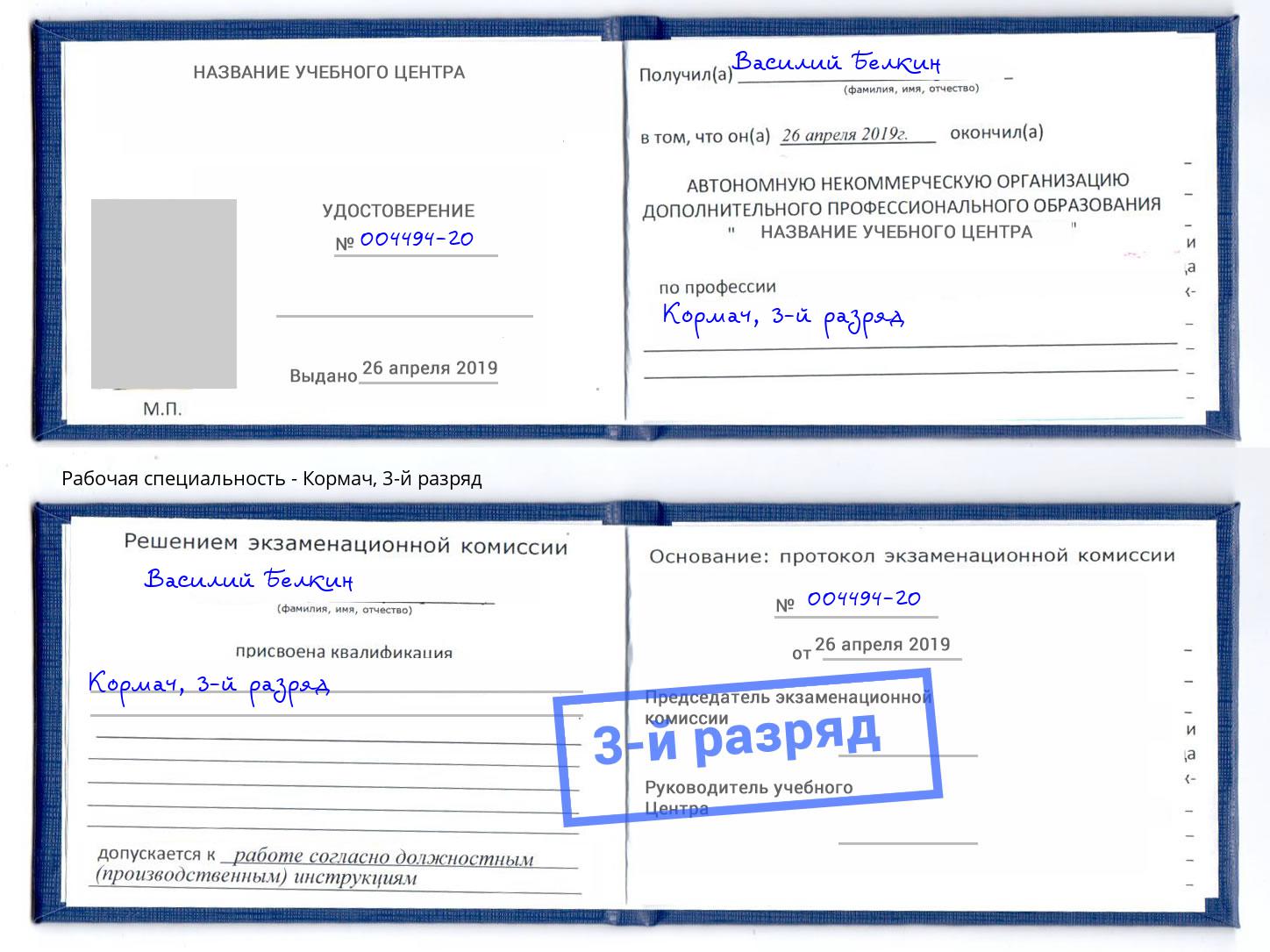корочка 3-й разряд Кормач Белебей